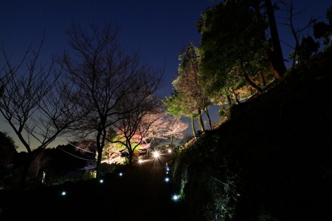 飯山ライトアップ＆秋のキャンペーンの写真