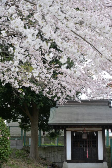 三嶋神社の写真