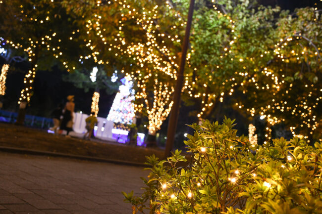 イルミネーション厚木中央公園