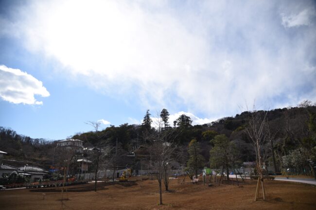 飯山桜の広場