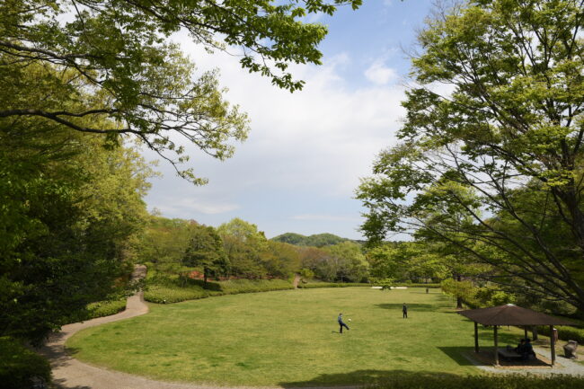 あつぎつつじの丘公園