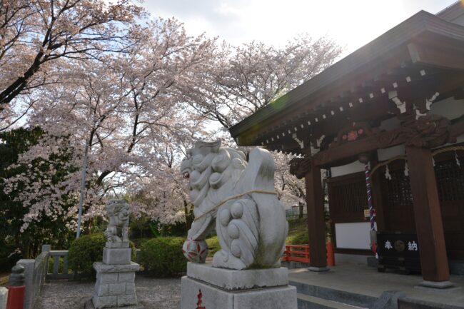 三嶋神社の写真