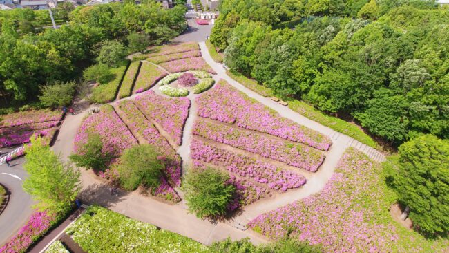 あつぎつつじの丘公園の空撮の写真