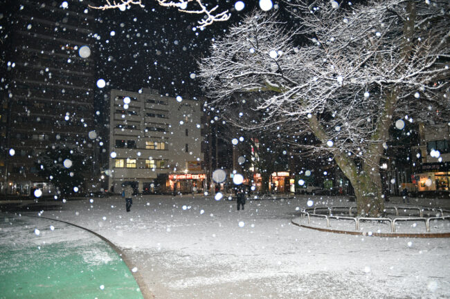 雪の厚木公園