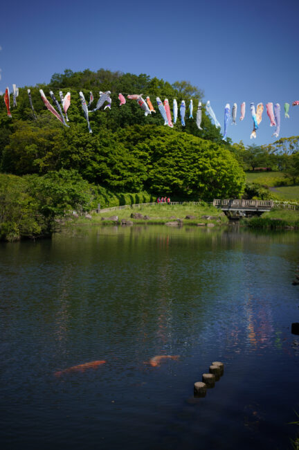 若宮公園のコイノボリ