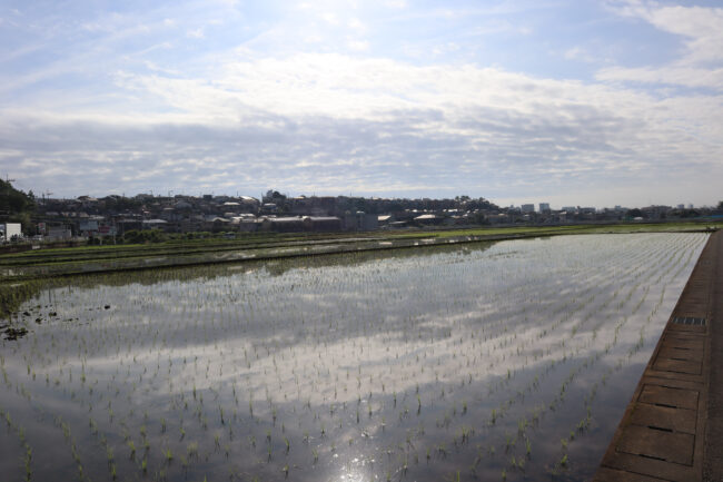 温水の田園風景