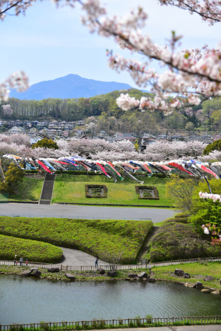 鯉のぼりの写真