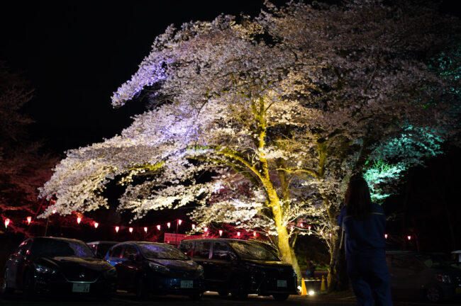 飯山桜の広場のライトアップ