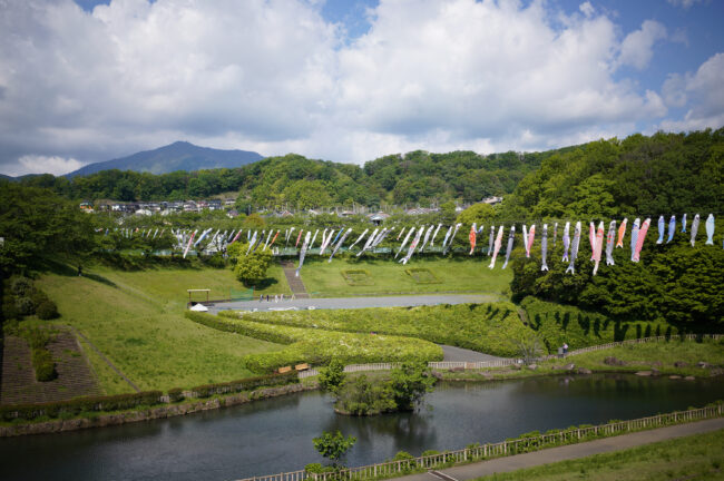 若宮公園のコイノボリ