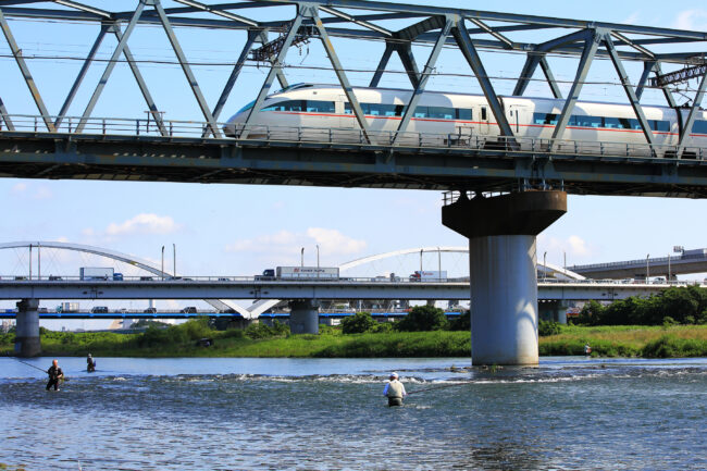 相模川でアユ釣り