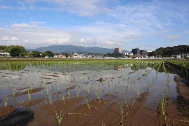 温水の田園風景