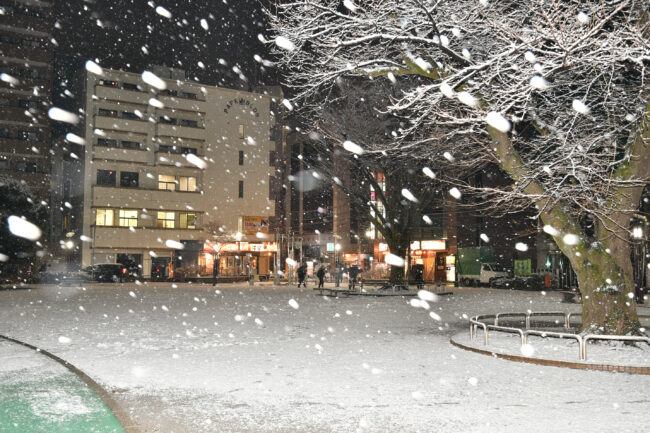 雪の厚木公園