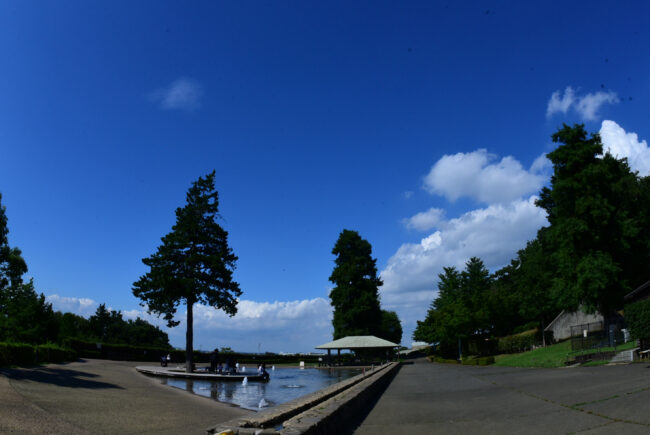 ぼうさいの丘公園