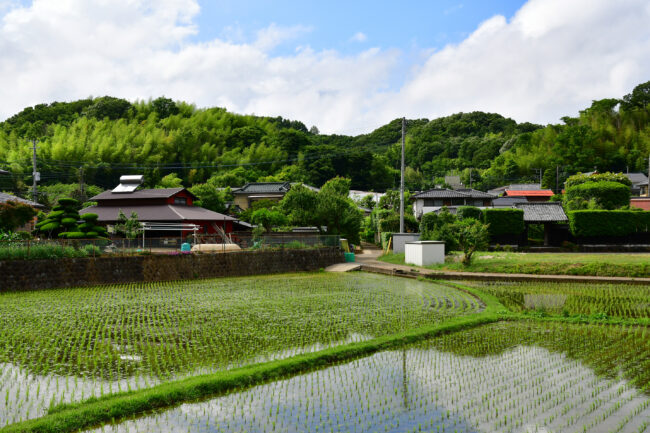 田園風景の写真