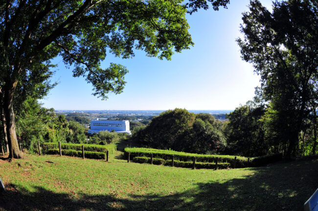 七沢森林公園のながめの丘の写真