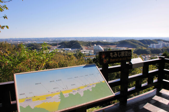 県立七沢森林公園のもみじ展望台の写真