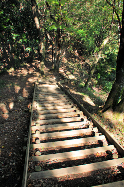 県立七沢森林公園の尾根のさんぽ道の写真