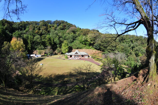 県立七沢森林公園のサクラの園の写真
