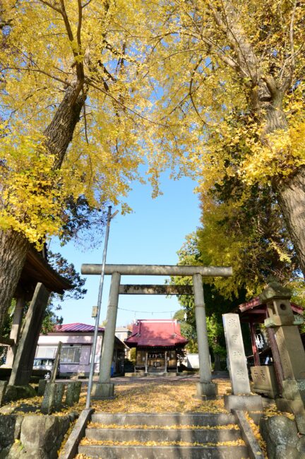 浅間神社の紅葉の写真