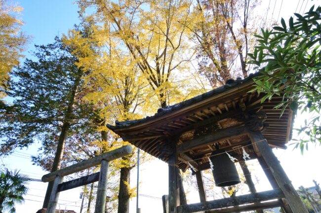 浅間神社の紅葉の写真