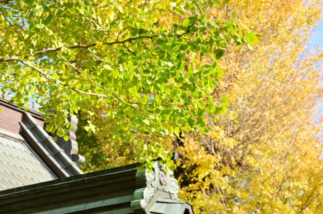 荻野神社の紅葉の写真