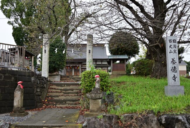 養徳寺の写真