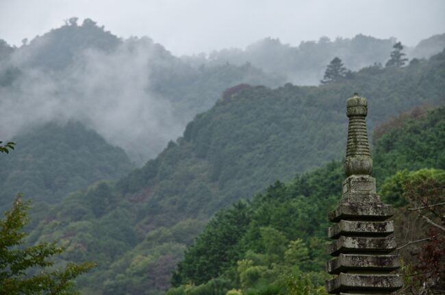 広沢寺から見る七沢の山々の写真