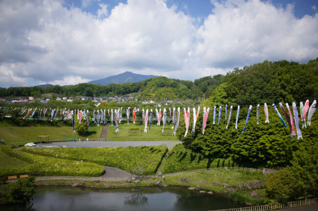 若宮公園のコイノボリ