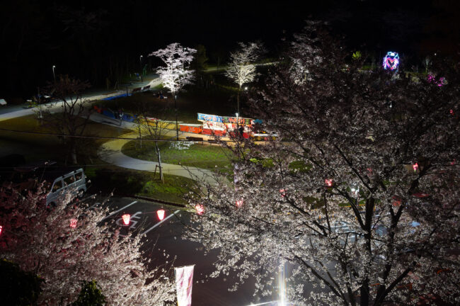 飯山桜の広場のライトアップ