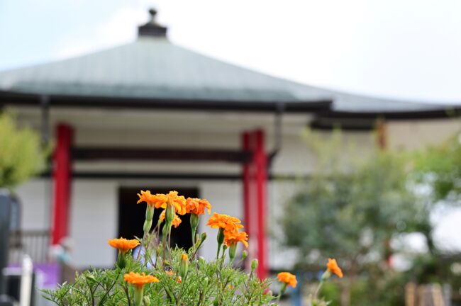 蓬莱山長谷寺の写真