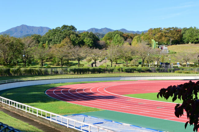 厚木市荻野運動公園の競技場の写真