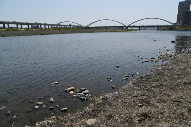 相模川とあゆみ橋