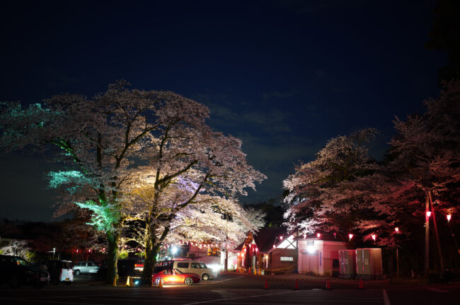 飯山桜の広場のライトアップ