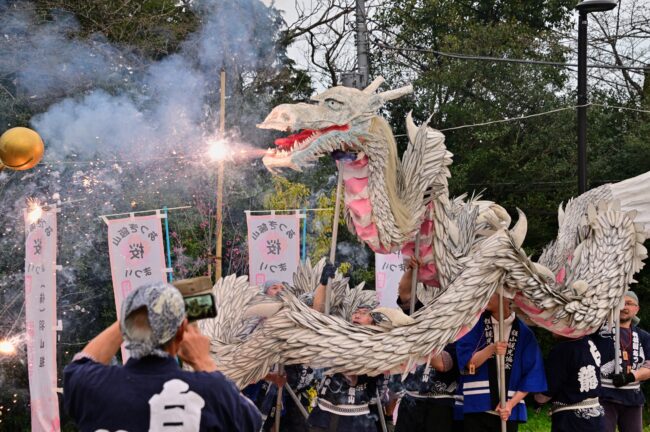 あつぎ飯山桜まつりの白龍の舞の写真