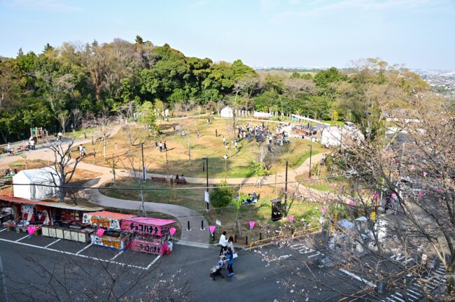 あつぎ飯山桜まつりの写真