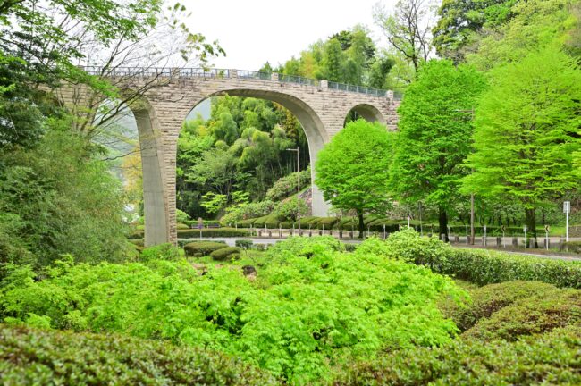 県立七沢森林公園の新緑の写真