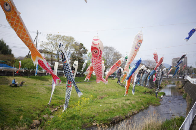 恩曽川沿いの鯉のぼり