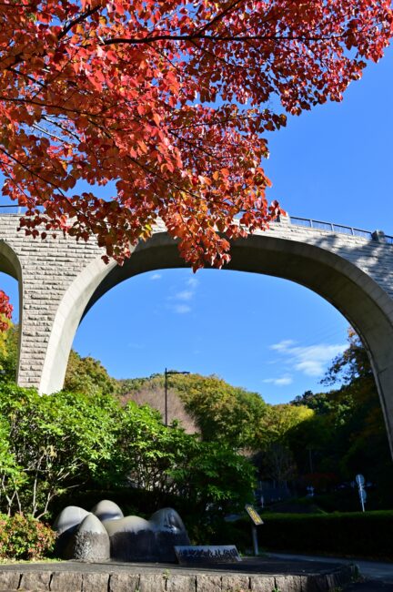 県立七沢森林公園の紅葉の写真