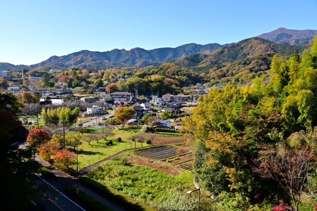 七沢の紅葉