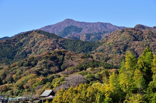 七沢の山々と大山の紅葉の写真