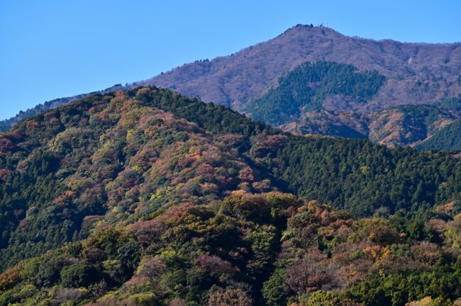 七沢の山々と大山の写真