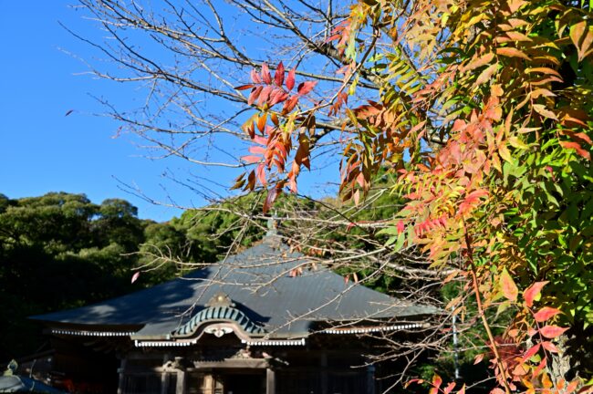 飯山観音長谷寺の紅葉の写真