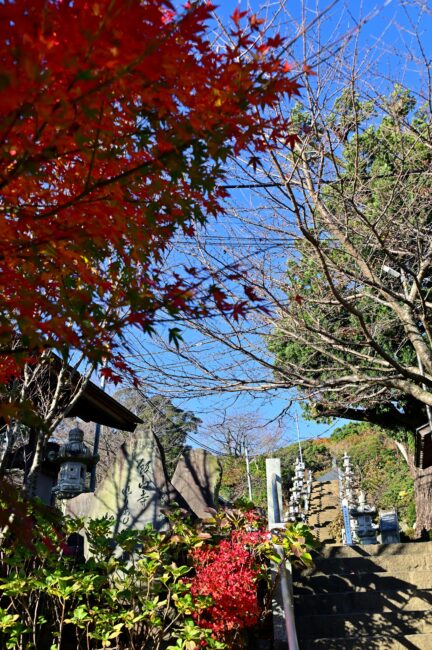 飯山観音長谷寺の紅葉の写真