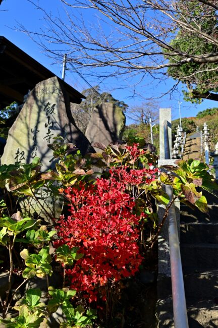 飯山観音長谷寺の紅葉の写真