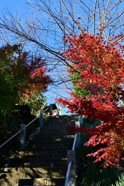 飯山観音長谷寺の紅葉の写真