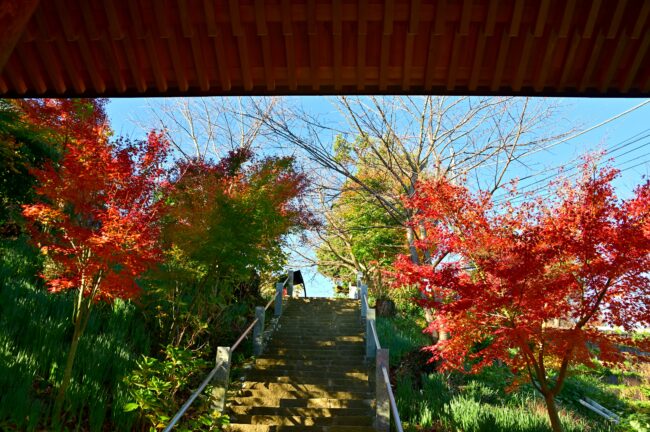 飯山観音長谷寺の紅葉の写真