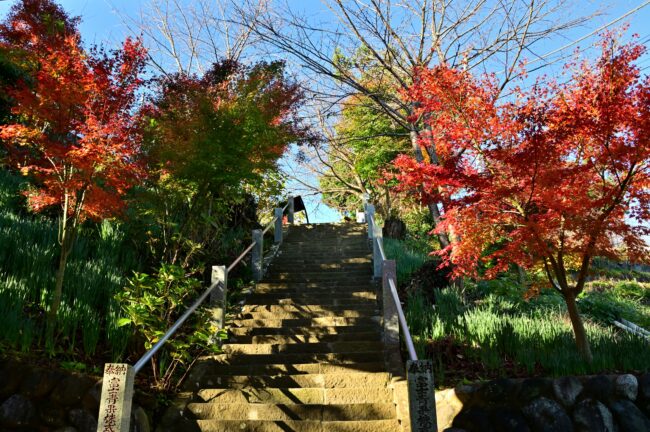 飯山観音長谷寺の紅葉の写真