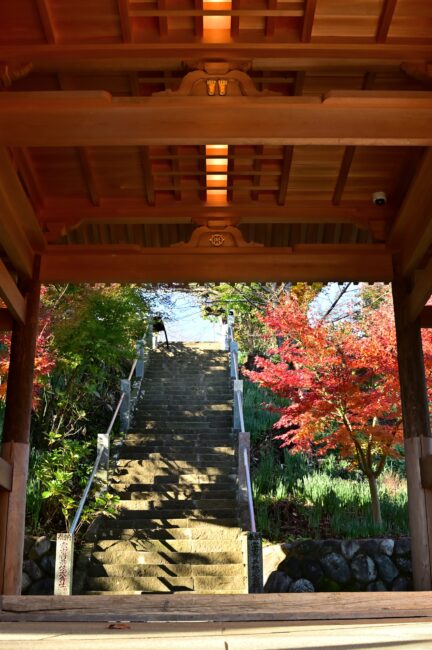 飯山観音長谷寺の紅葉の写真