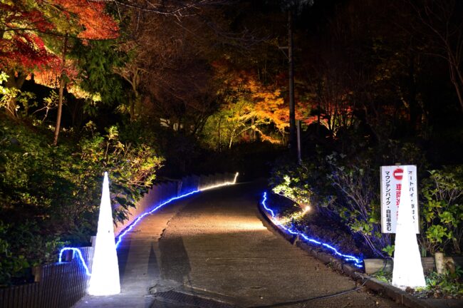 飯山観音長谷寺のライトアップの写真