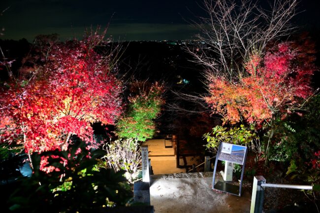 飯山観音長谷寺のライトアップの写真